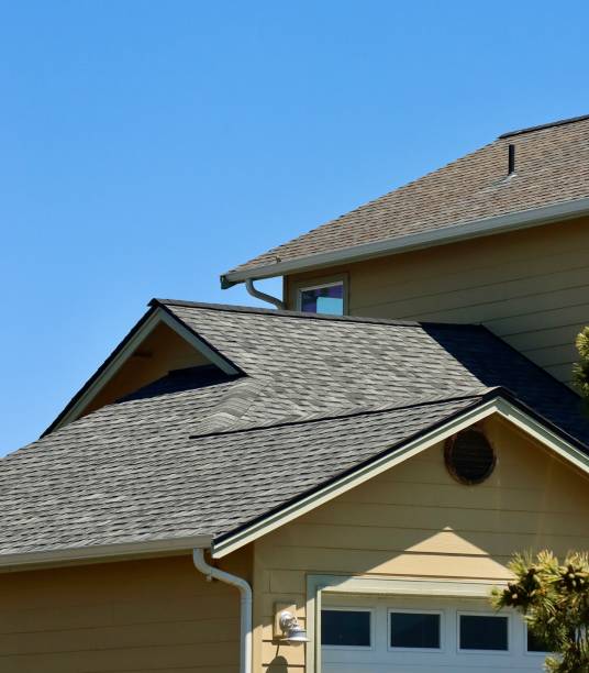 Best Roof Ventilation Installation  in USA